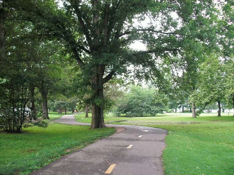 Arlington VA 21 Tree-lined park path curving through green grass and dense foliage under a cloudy sky.