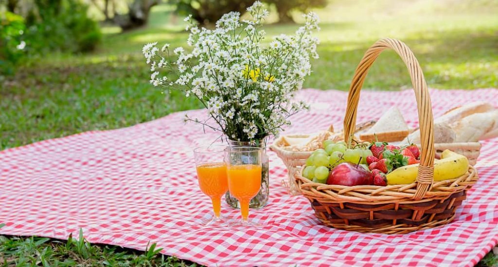 Picnic at one of the Parks in Bethesda, MD