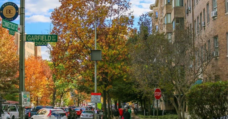 Colorful autumn trees and street signs at the corner of Garfield Street NW and Connecticut Avenue in Washington, D.C.'s Woodley Park Historic District.