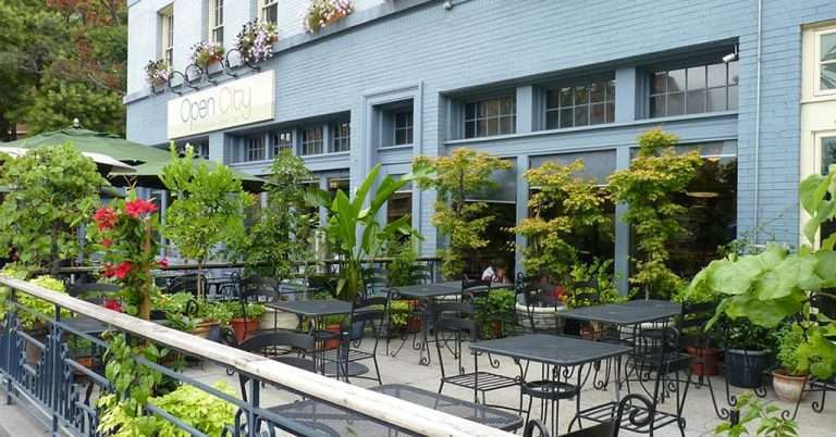 A lush, plant-filled patio outside Open City café, featuring black wrought-iron tables and chairs, green umbrellas, and potted plants along the railing and windows. The café is housed in a light blue building with large windows and flower boxes on the upper floor.