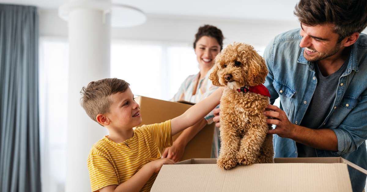 Unauthorized pet lease violation