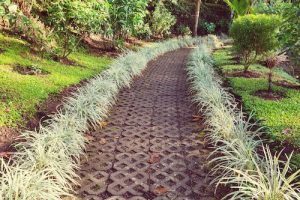 10 Interesting Things to Do in Fairfax County 18 garden
