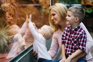 10 Interesting Things to Do in Fairfax County 15 Tourists watching the insect in terrarium at zoo